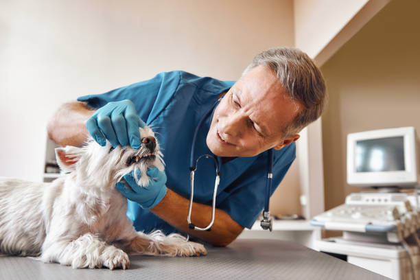 Best Emergency Root Canal Treatment in The Hammocks, FL